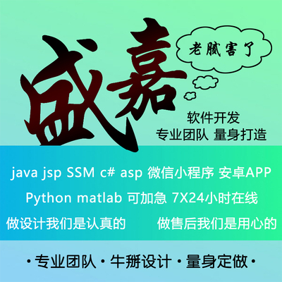 软件开发 