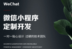 微信小程序开发定制ap 